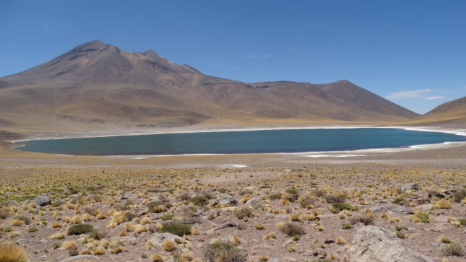 die-laguna-miscanti