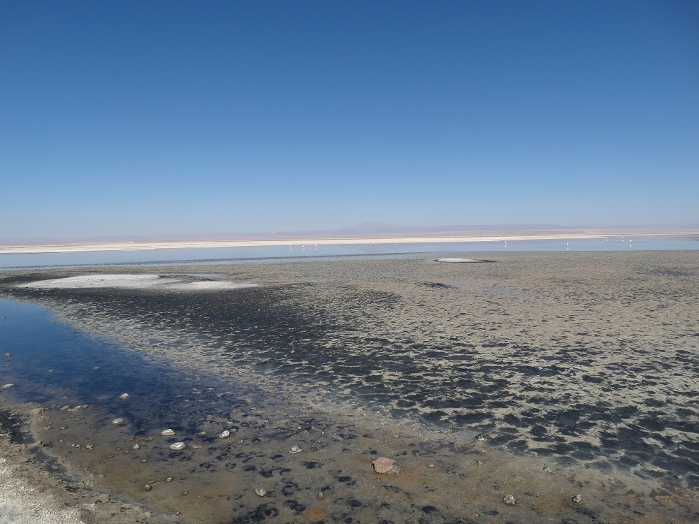 Laguna Chaxa