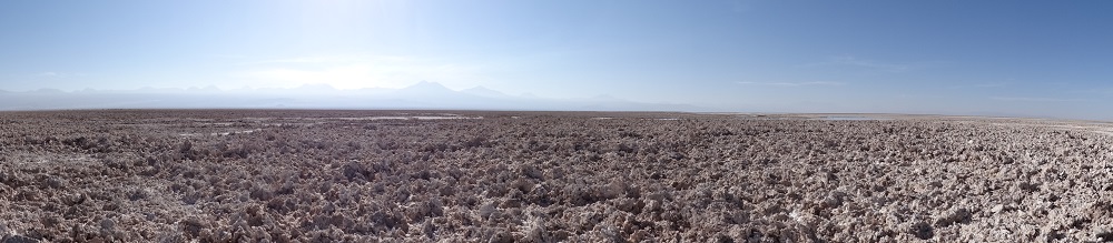 Rundweg an der Laguna Chaxa. Die Salzverkrustungen des Salar de Atacama, im Osten erheben sich die Vulkane der Westkordillere