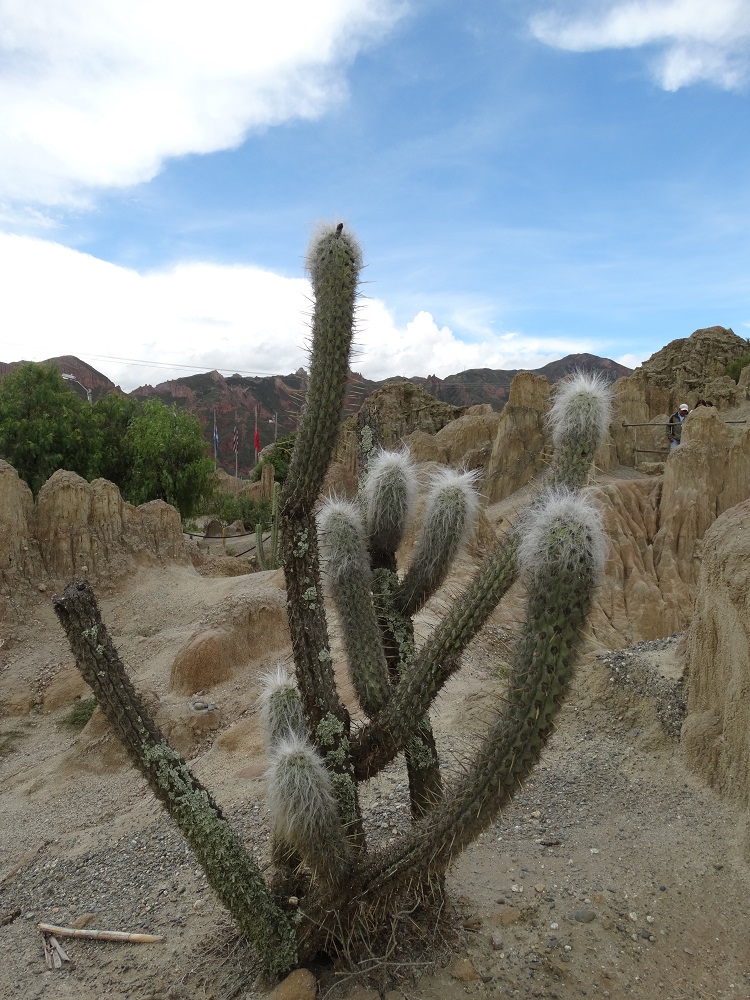 la paz valle de la luna