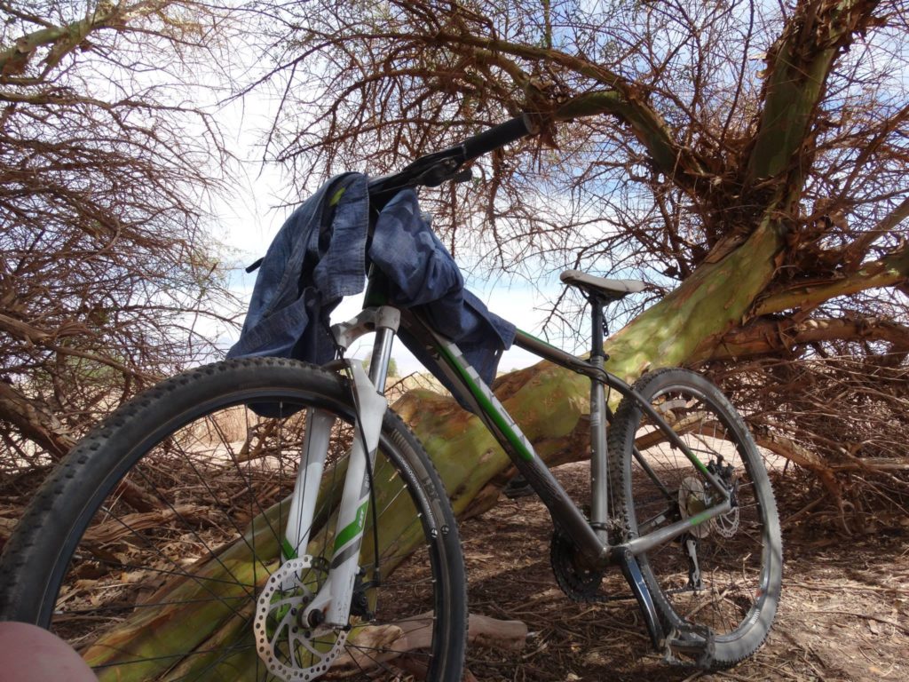 laguna cejar - fahrrad san pedro de atacama