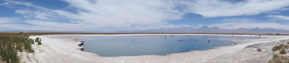 san pedro de atacama laguna cejar