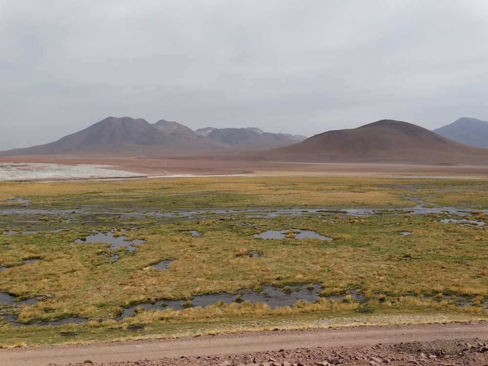 Das Andenhochland nördlich von San Pedro de Atacama. Im Hintergrund die Vulkane der Westkordillere