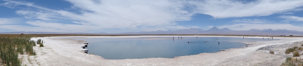 San Pedro de Atacama in Bildern - Laguna Cejar