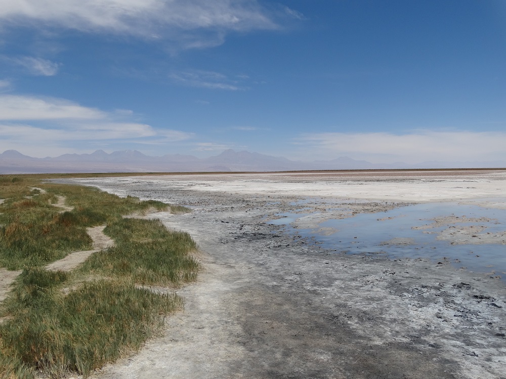 Das Gebiet der Laguna Cejar zählt zu den nördlichsten Ausläufern des Salar de Atacama. 