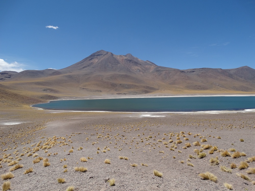 San Pedro de Atacama in Bildern - Laguna Miscanti