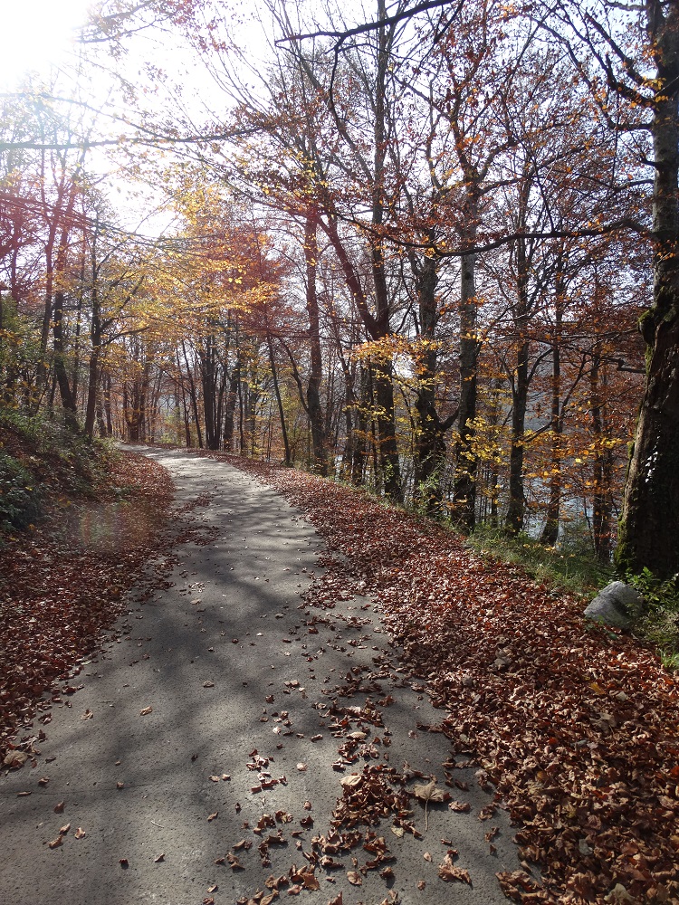 plitvicer seen kroatien herbst