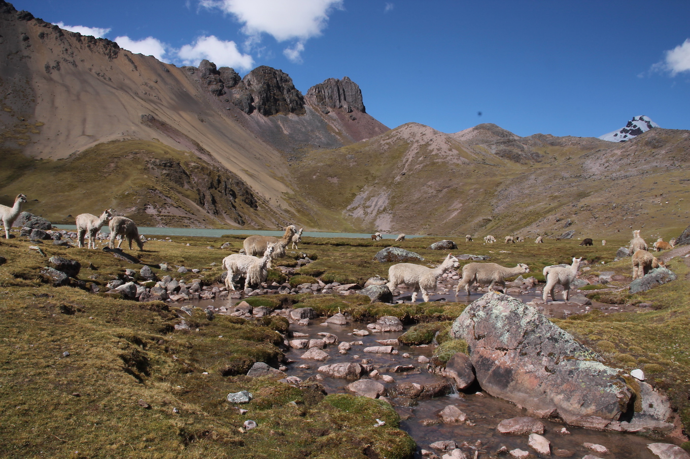 trekking in peru ausangate trek