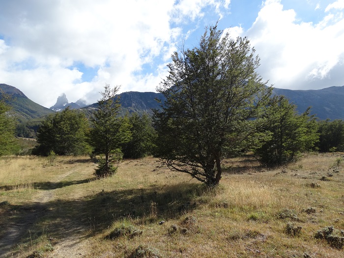 Cerro Castillo, Patagonien, Chile