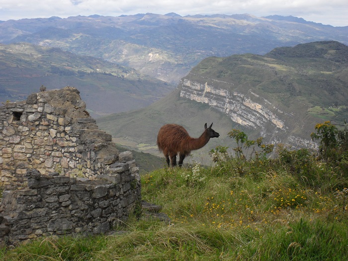 Peru Ruinen Stätten Kuelap Norden Chachapoyas