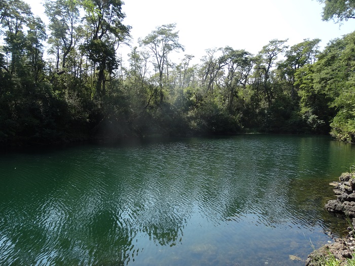 Nationalpark Vicente Perez Rosales Laguna Verde