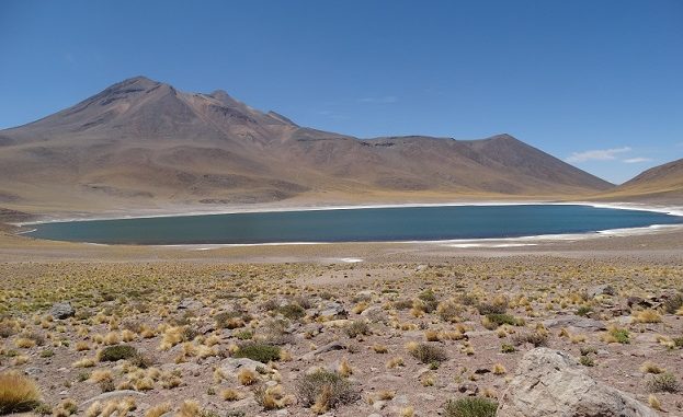 Laguna Miscanti u Miniques