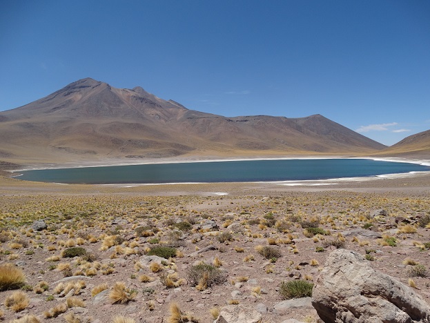 Die Laguna Miniques liegt unmittelbar neben der Laguna Miscanti.