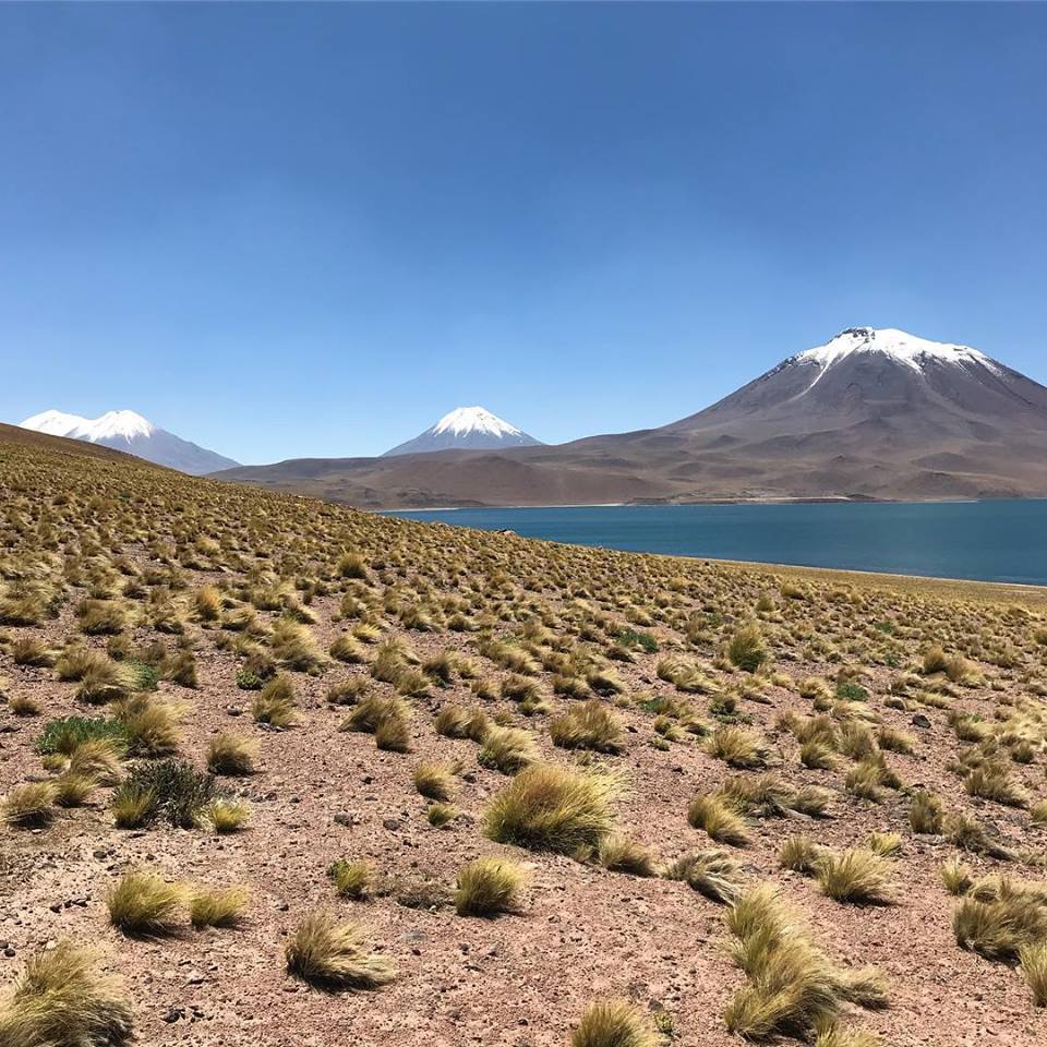 Laguna Miscanti Vulkan Miscanti Schnee Chile San Pedro de Atacama