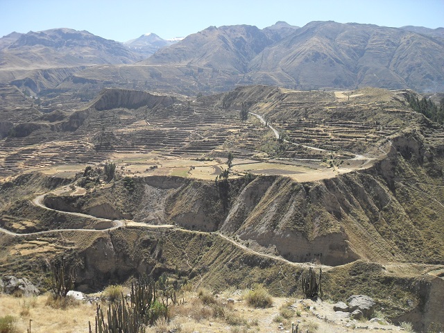 Sehenswürdigkeiten Peru Colca Canyon