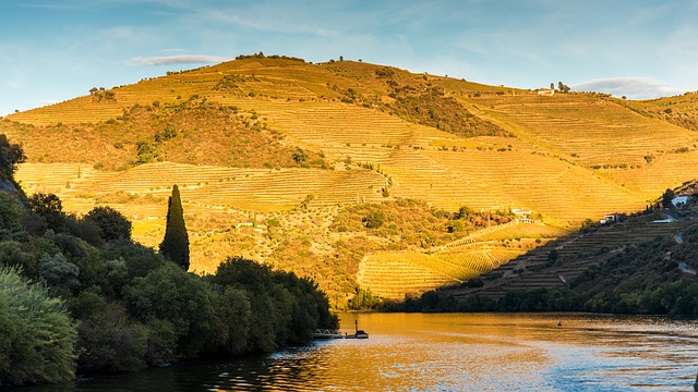 Porto Reisetipps