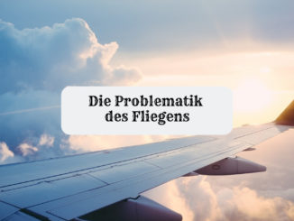 fliegen co2 emissionen problematik