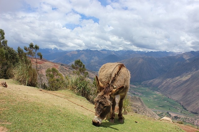 heiliges tal der inka urubamba