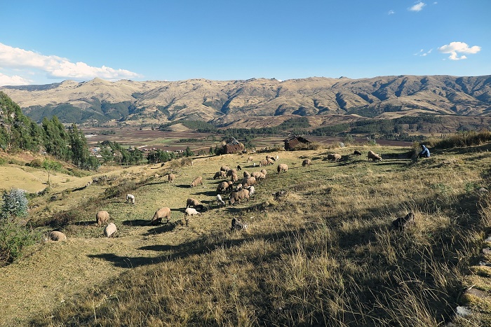 Peru Heiliges Tal