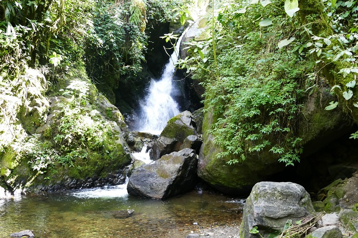 valle de cocora nebelwald wasserfall cascada